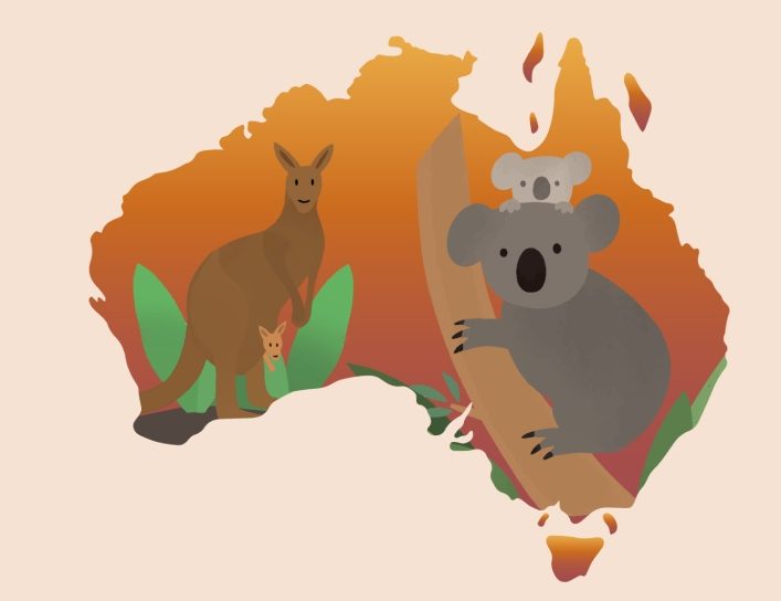 Best for travel in Australia